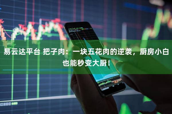 易云达平台 把子肉：一块五花肉的逆袭，厨房小白也能秒变大厨！