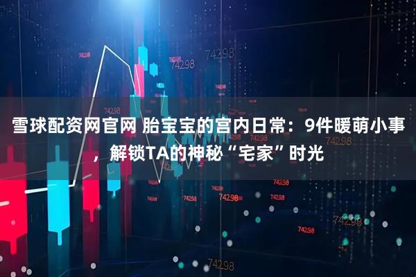 雪球配资网官网 胎宝宝的宫内日常：9件暖萌小事，解锁TA的神秘“宅家”时光