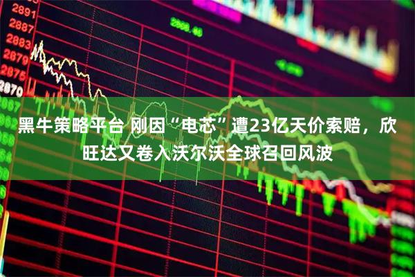 黑牛策略平台 刚因“电芯”遭23亿天价索赔，欣旺达又卷入沃尔沃全球召回风波