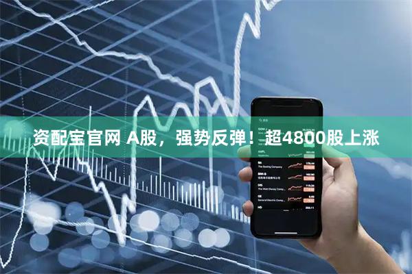 资配宝官网 A股，强势反弹！超4800股上涨