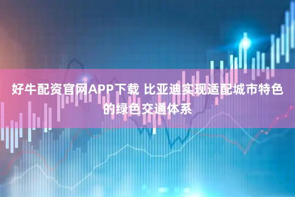 好牛配资官网APP下载 比亚迪实现适配城市特色的绿色交通体系